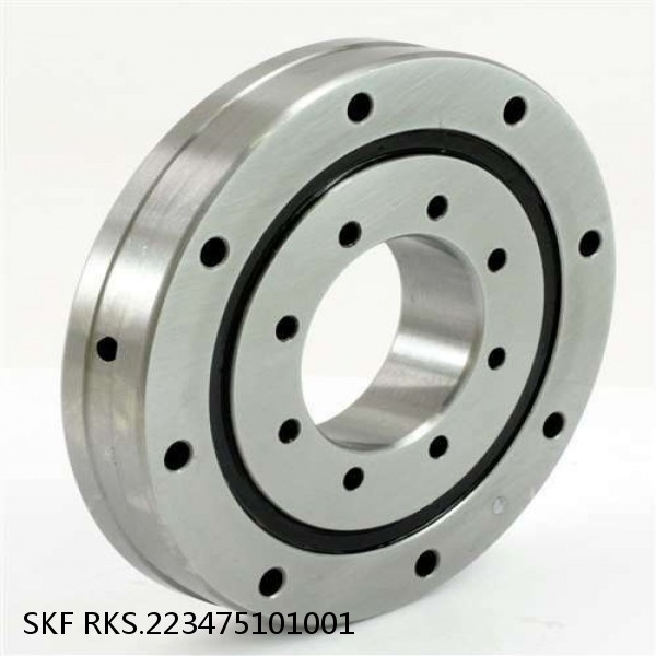 RKS.223475101001 SKF Slewing Ring Bearings