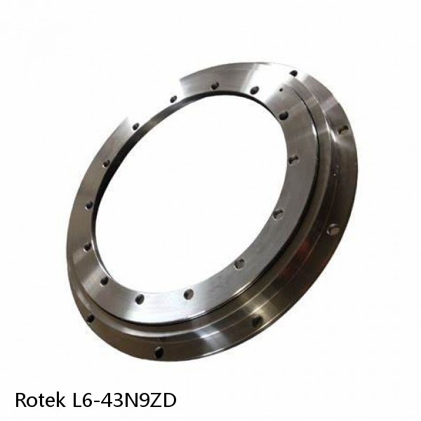 L6-43N9ZD Rotek Slewing Ring Bearings