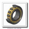 100 mm x 215 mm x 73 mm  ISO NJF2320 V cylindrical roller bearings