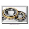 800 mm x 1060 mm x 150 mm  NKE NCF29/800-V cylindrical roller bearings