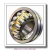 120 mm x 200 mm x 62 mm  FBJ 23124K spherical roller bearings #1 small image