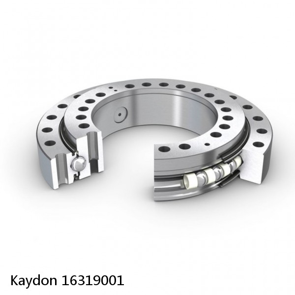 16319001 Kaydon Slewing Ring Bearings #1 small image