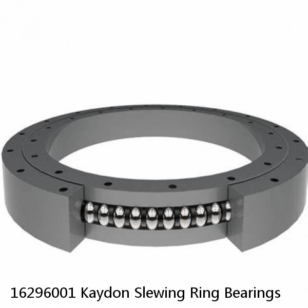 16296001 Kaydon Slewing Ring Bearings #1 small image