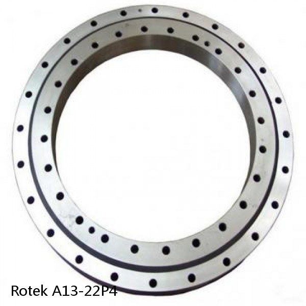 A13-22P4 Rotek Slewing Ring Bearings #1 small image