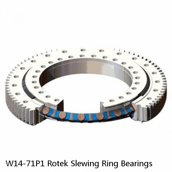 W14-71P1 Rotek Slewing Ring Bearings #1 small image