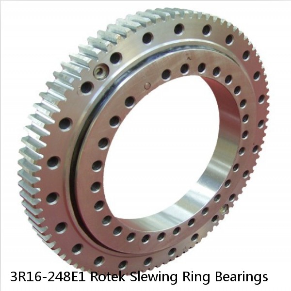 3R16-248E1 Rotek Slewing Ring Bearings #1 small image