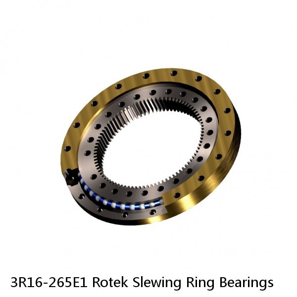 3R16-265E1 Rotek Slewing Ring Bearings #1 small image
