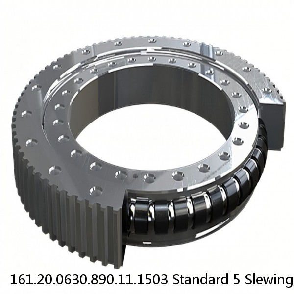 161.20.0630.890.11.1503 Standard 5 Slewing Ring Bearings #1 small image
