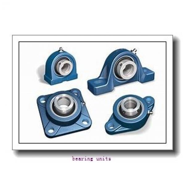 FYH NAP206-18 bearing units #3 image