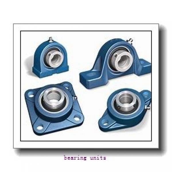 FYH NAPK202 bearing units #2 image