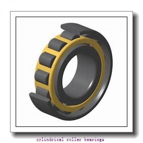 55 mm x 120 mm x 43 mm  NKE NJ2311-E-MA6 cylindrical roller bearings #1 image