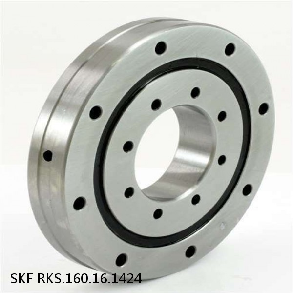RKS.160.16.1424 SKF Slewing Ring Bearings #1 image
