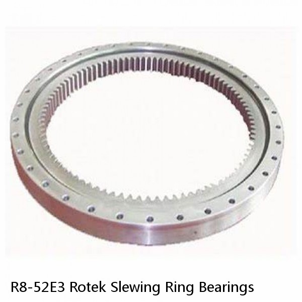 R8-52E3 Rotek Slewing Ring Bearings #1 image