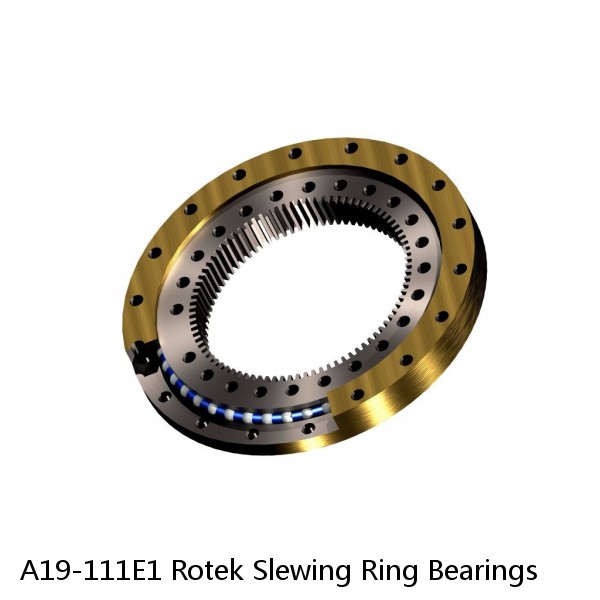 A19-111E1 Rotek Slewing Ring Bearings #1 image